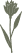 Flower 3