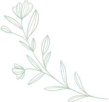 Floristics