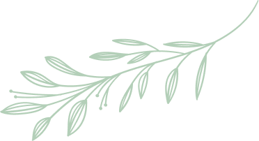 Floristics