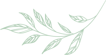 Floristics