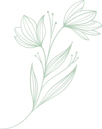 Floristics