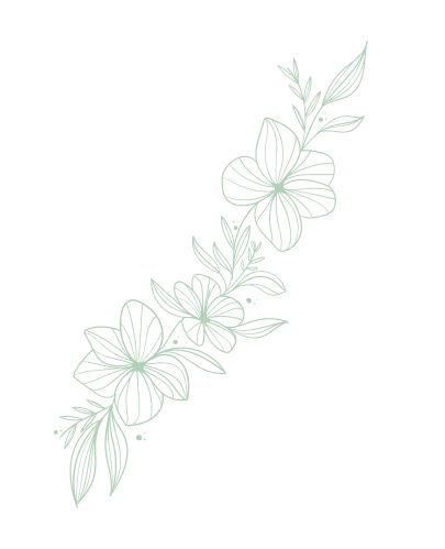 Floristics